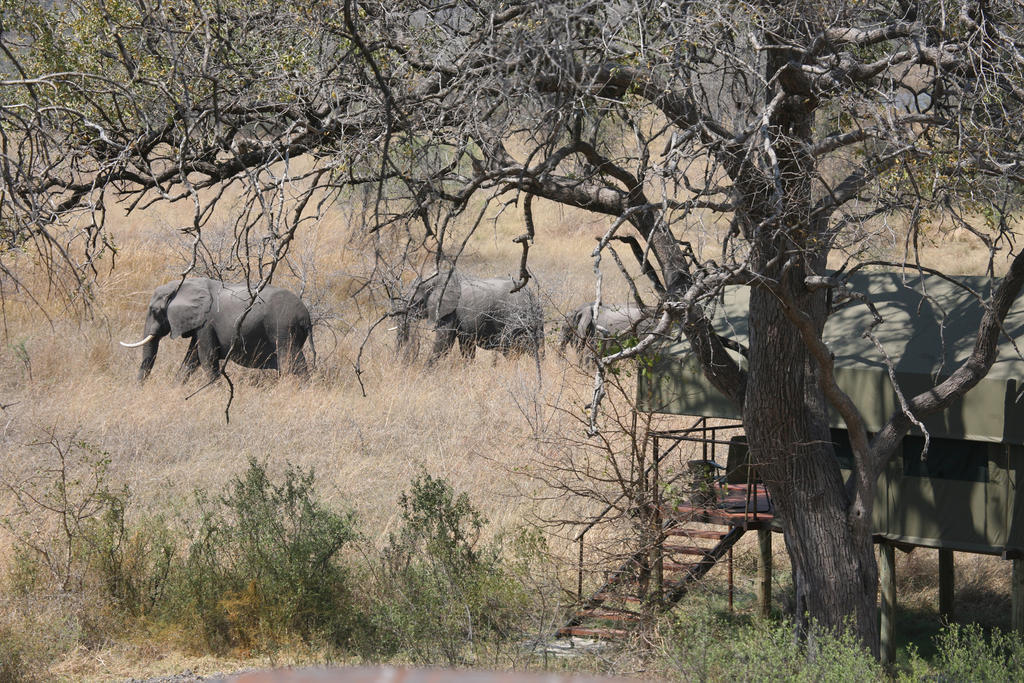 Nkasa Lupala Tented Lodge Sangwali Экстерьер фото